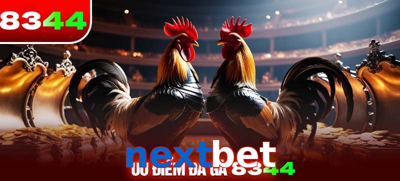Thể loại đá gà nextbet được ưa chuộng